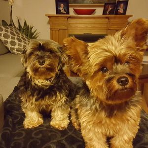 Meet your Posher, Tina